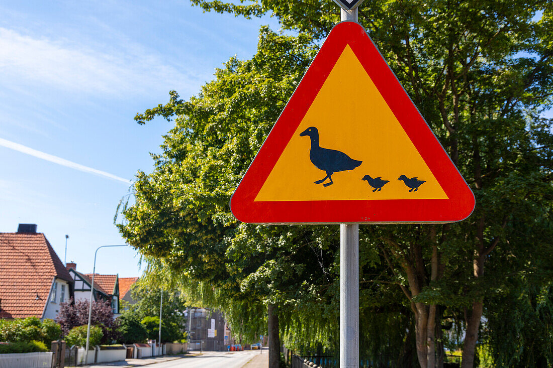 Europe,Scandinavia,Sweden. Scania. Landskrona. Ducks Pass