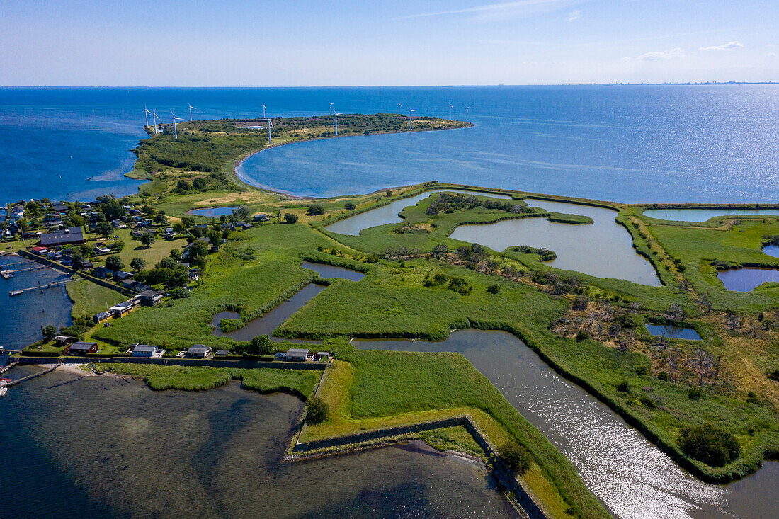 Europe,Scandinavia,Sweden. Scania. Landskrona. Graen Nature Reserve