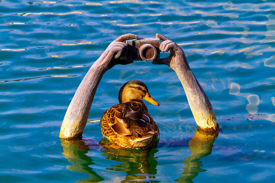 France,Troyes,submerged statue of arms holding a camera