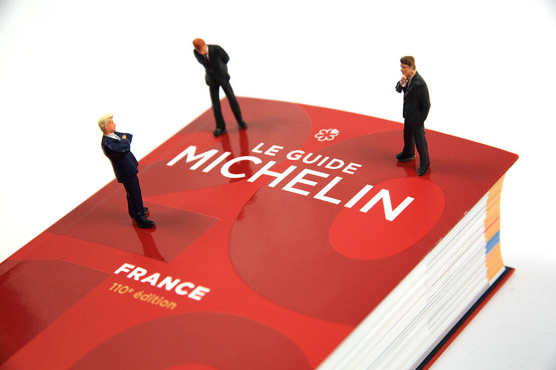 The Michelin guide