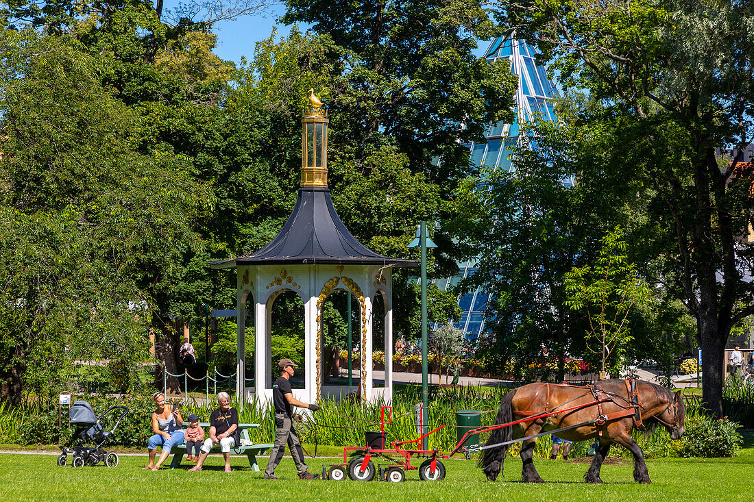 Europe,Sweden,Ostergotland County,Linkoeping. Lawn mowing with a horse. Tradgardsforeningen