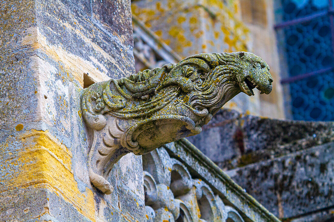 Frankreich,Grand Est,Marne,Vitry-le-Francois,Stiftskirche Notre-Dame. Wasserspeier