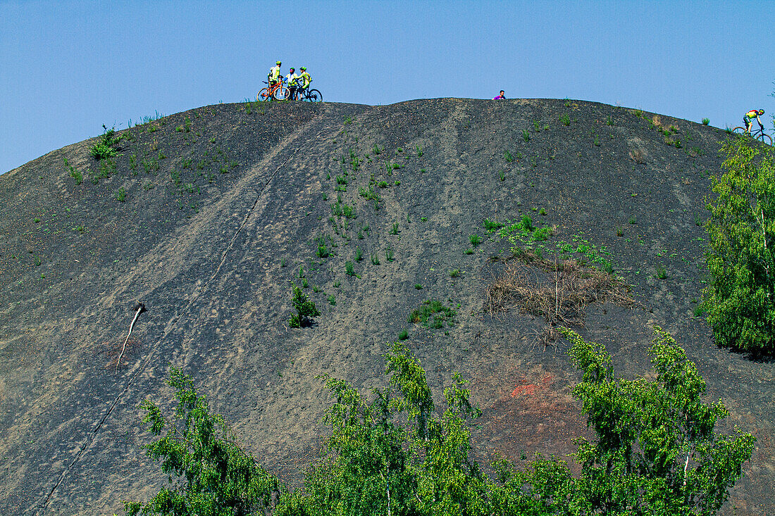 France,Hauts de France,Nord,Rieulay,Terril des Argales,mining site converted into a natural area. Group of cyclists