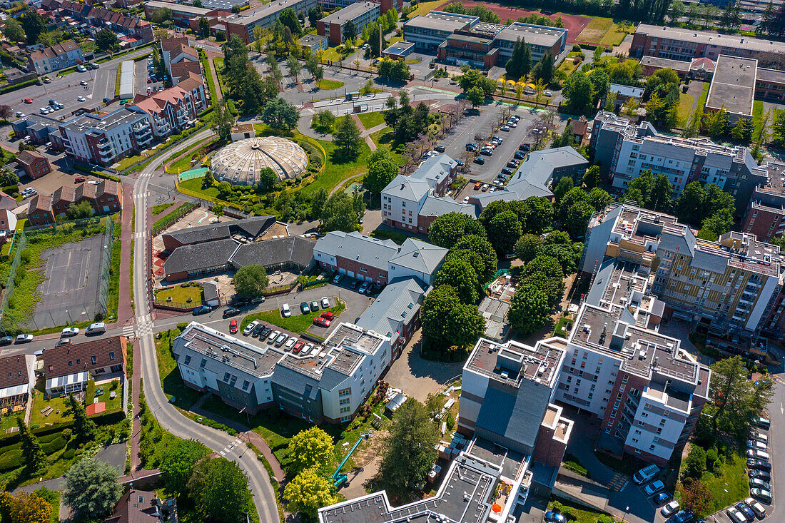 Douai,Hauts de France,Sonnenblumenbecken