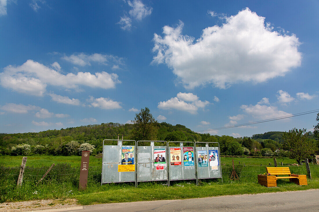 Election signs in the middle of the campaign