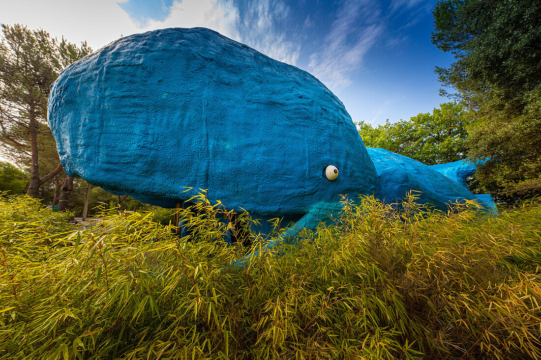 Big blue whale in a leisure park