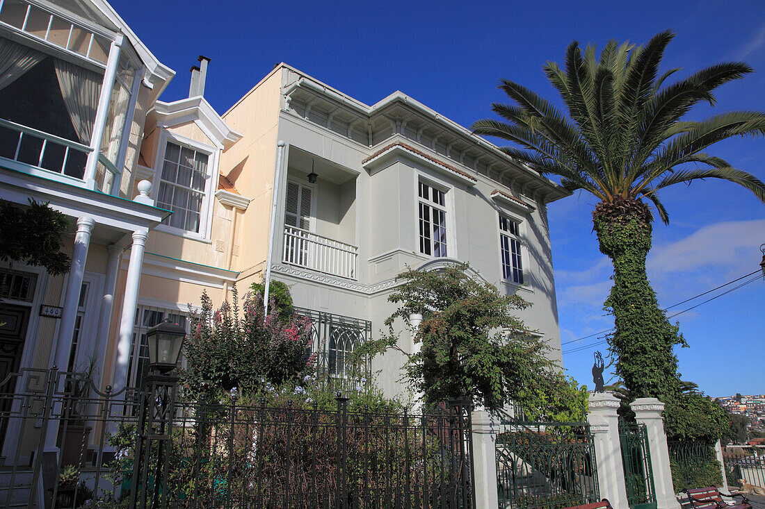 Chile,Valparaiso,house,palm tree,street scene,