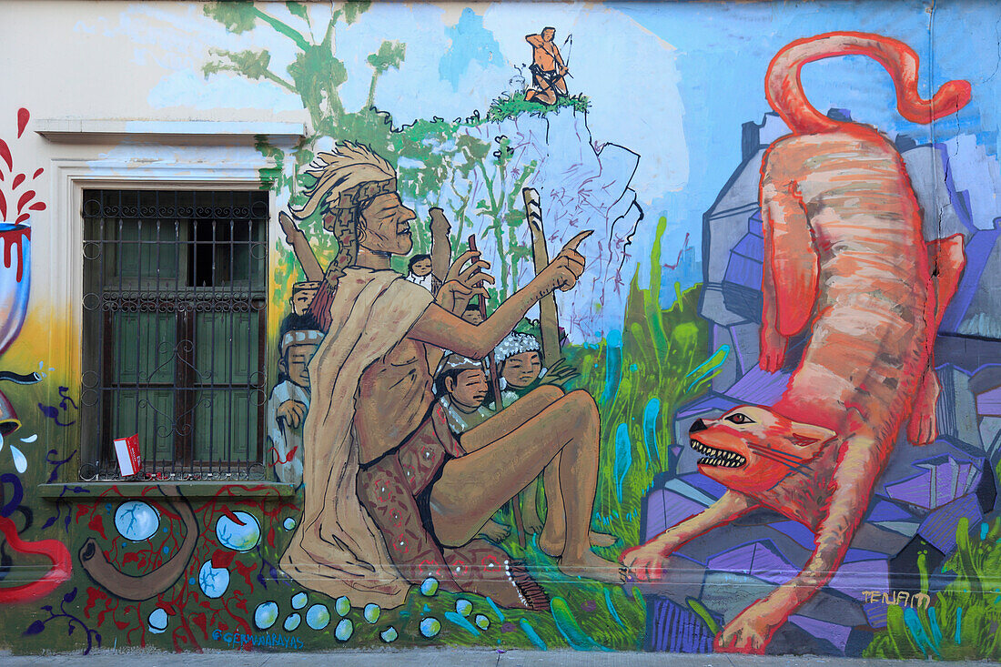 Chile,Santiago,Barrio Yungay,mural,graffiti,