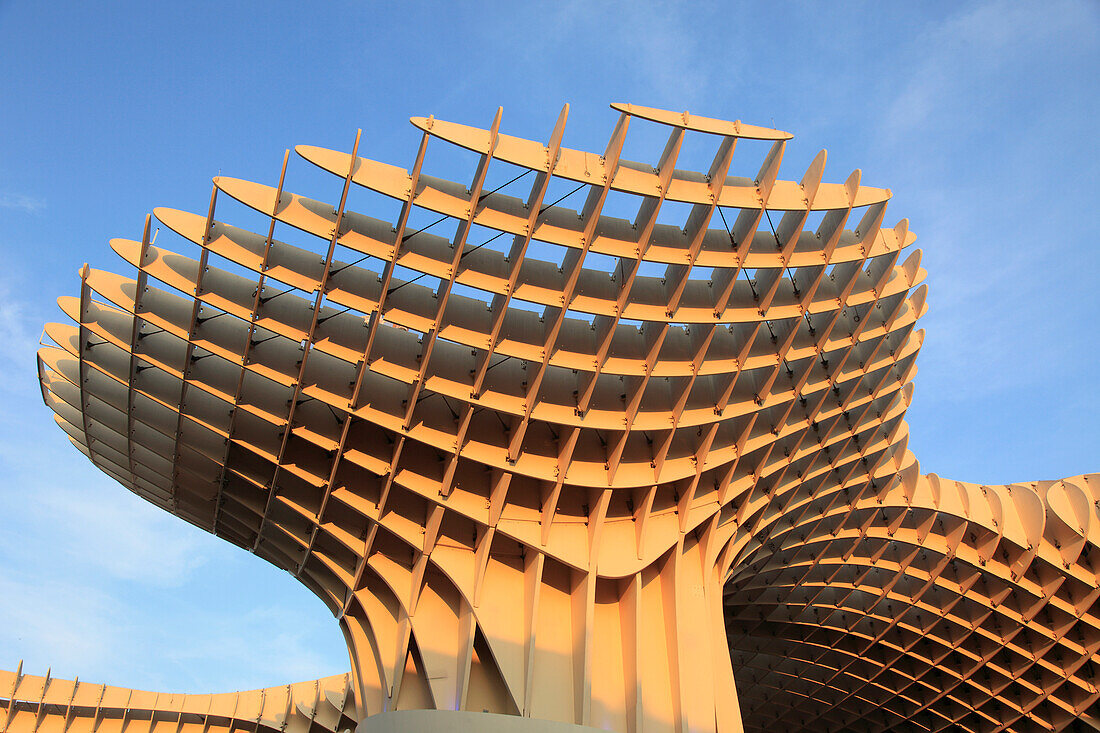 Spain,Andalusia,Seville,Metropol Parasol,Las Setas (arch Juergen Mayer)