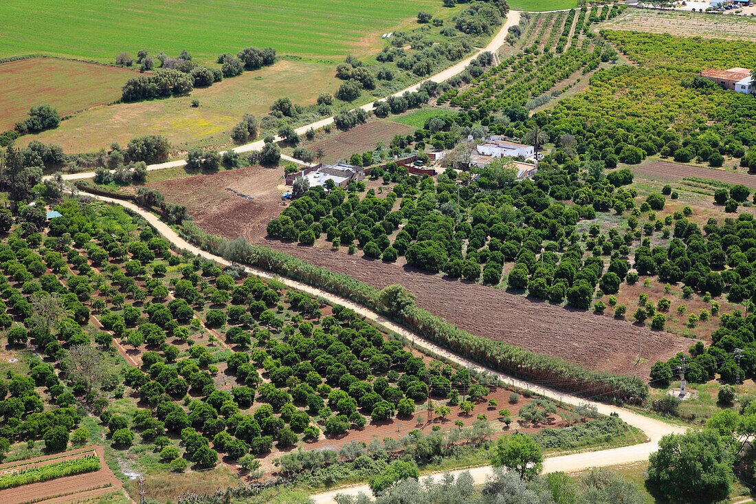 Spanien,Andalusien,Arcos de la Frontera,Obstgärten,Luftaufnahme