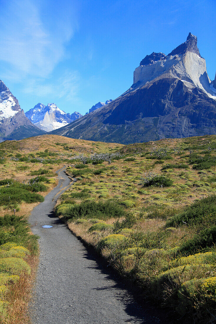 Chile,Magallanes,Torres del Paine,national park,Aleta de Tiburon,Cuernos del Paine,footpath,