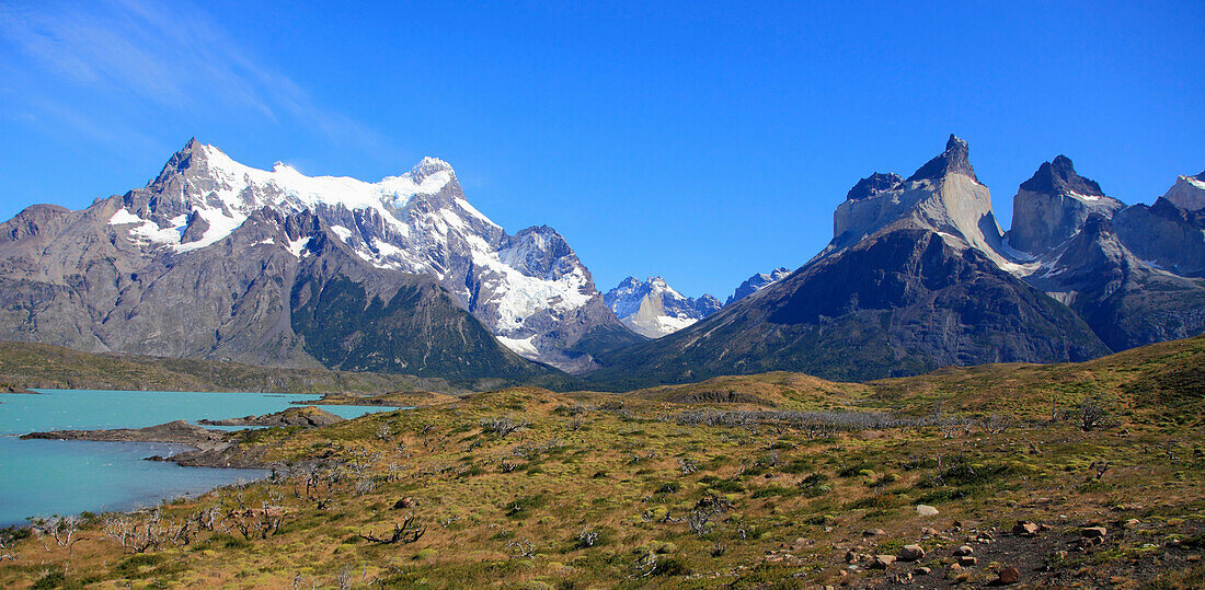 Chile,Magallanes,Torres del Paine,Nationalpark,Paine Grande,Cuernos del Paine,