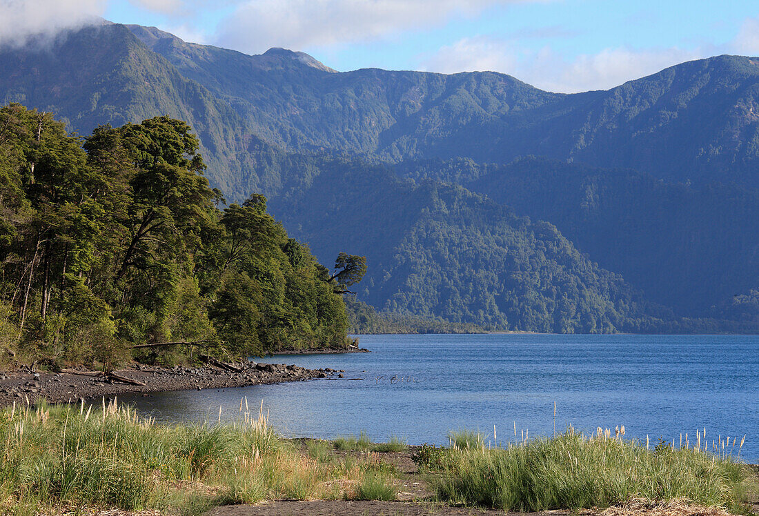 Chile,Lake District,Petrohue,Lago Todos Los Santos,