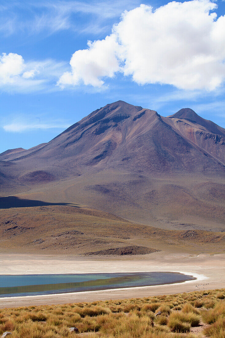 Chile,Antofagasta Region,Andes,Laguna Miscanti,Cerro Miscanti;