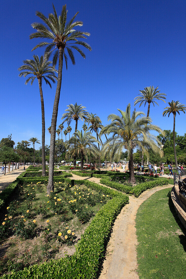 Spain,Andalusia,Seville,Parque de Maria Luisa