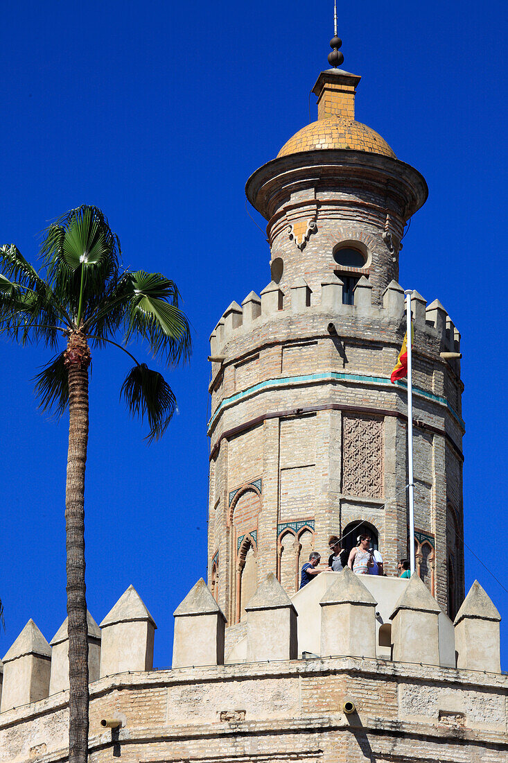 Spain,Andalusia,Seville,Torre del Oro