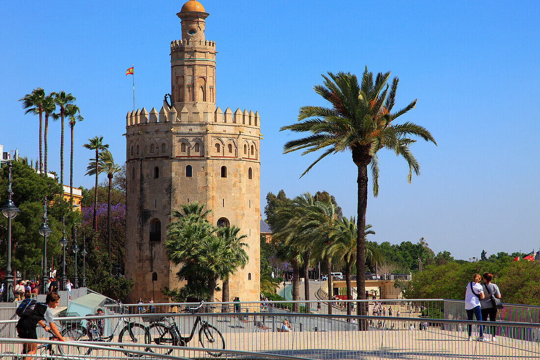 Spain,Andalusia,Seville,Torre del Oro