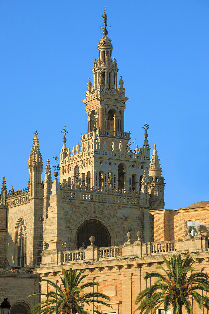 Spain,Andalusia,Seville,Cathedral,Giralda,tower