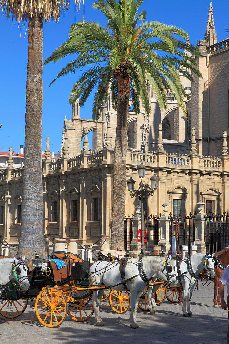 Spanien,Andalusien,Sevilla,Kathedrale,Plaza de Triunfo,Pferdekutschen