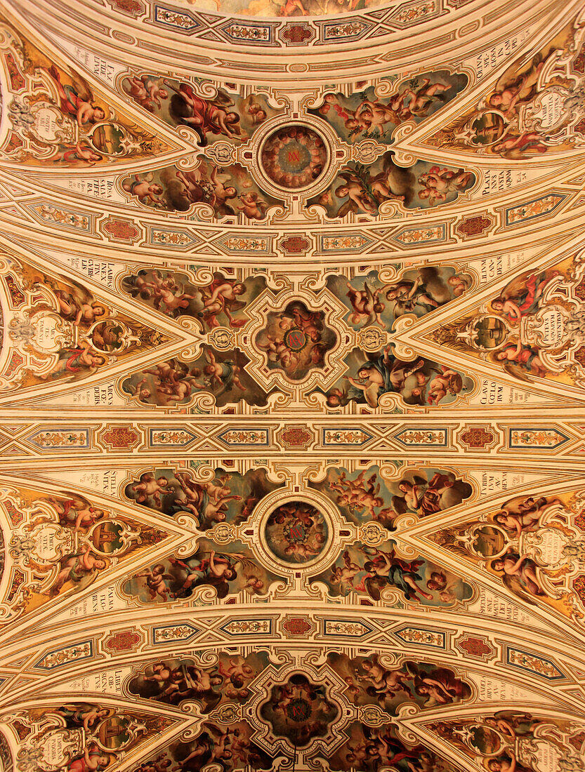 Spain,Andalusia,Seville,Iglesia de San Luis de los Franceses,chapel interior