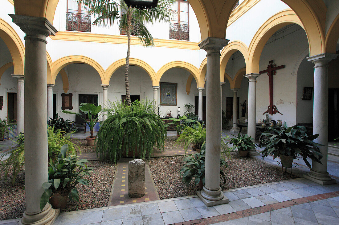 Spain,Andalusia,Seville,barrio de Santa Cruz,patio