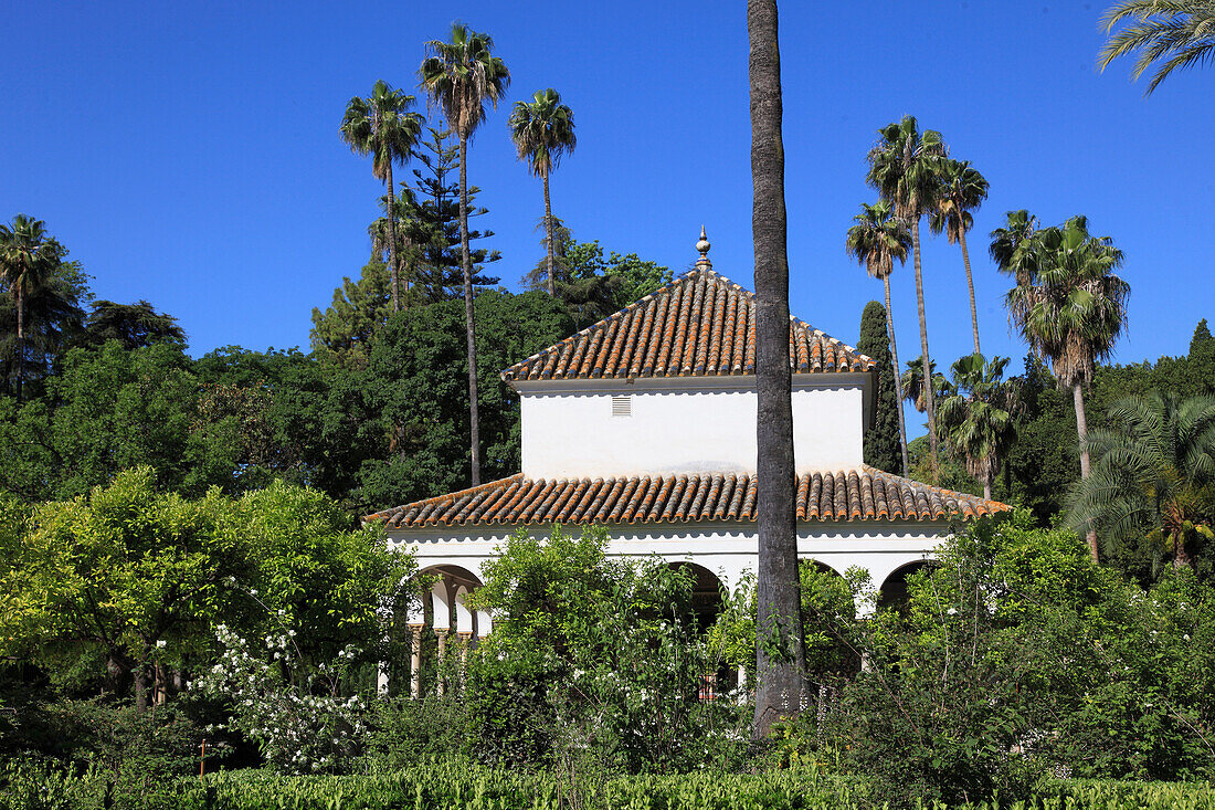 Spain,Andalusia,Seville,Real Alcazar,moorish royal palace,garden