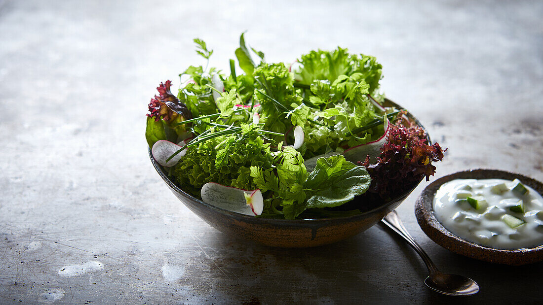 Green salad with radishes and herbs