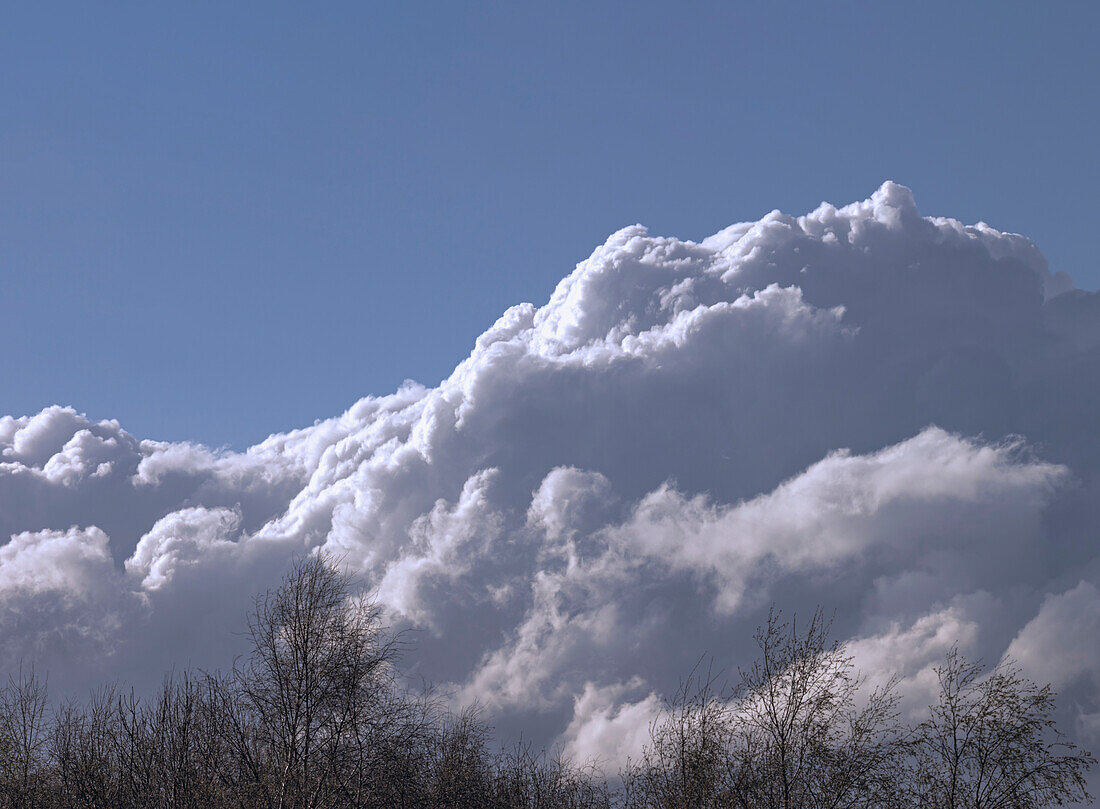 Cumulus clouds