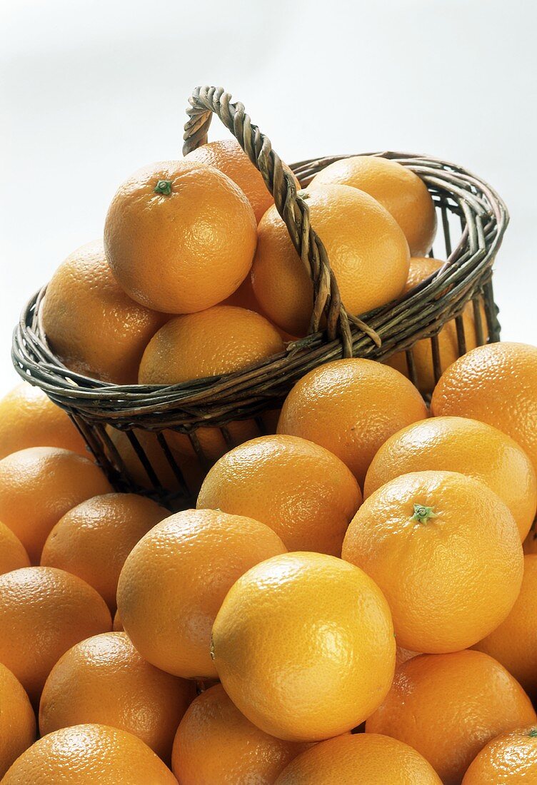 Korb voll Orangen vor vielen Orangen