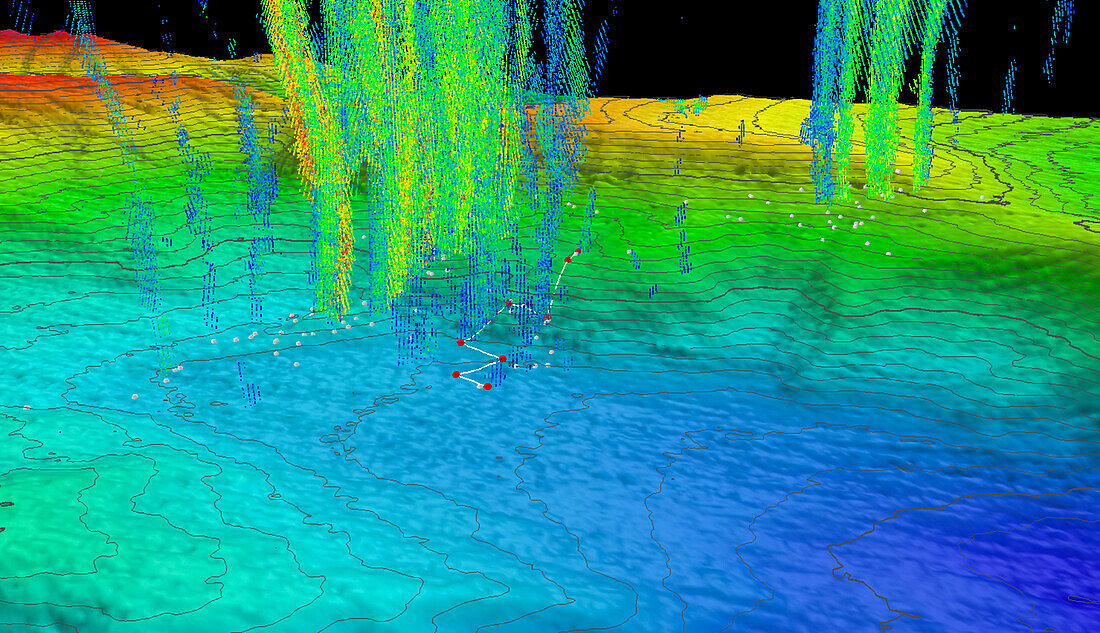 Methane plumes in Norfolk Canyon, Atlantic Ocean, multibeam sonar map