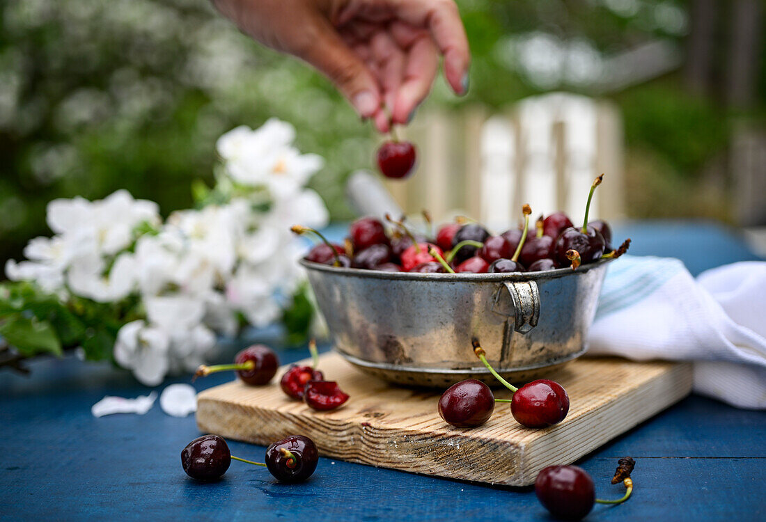 Fresh cherries in a metal bowl