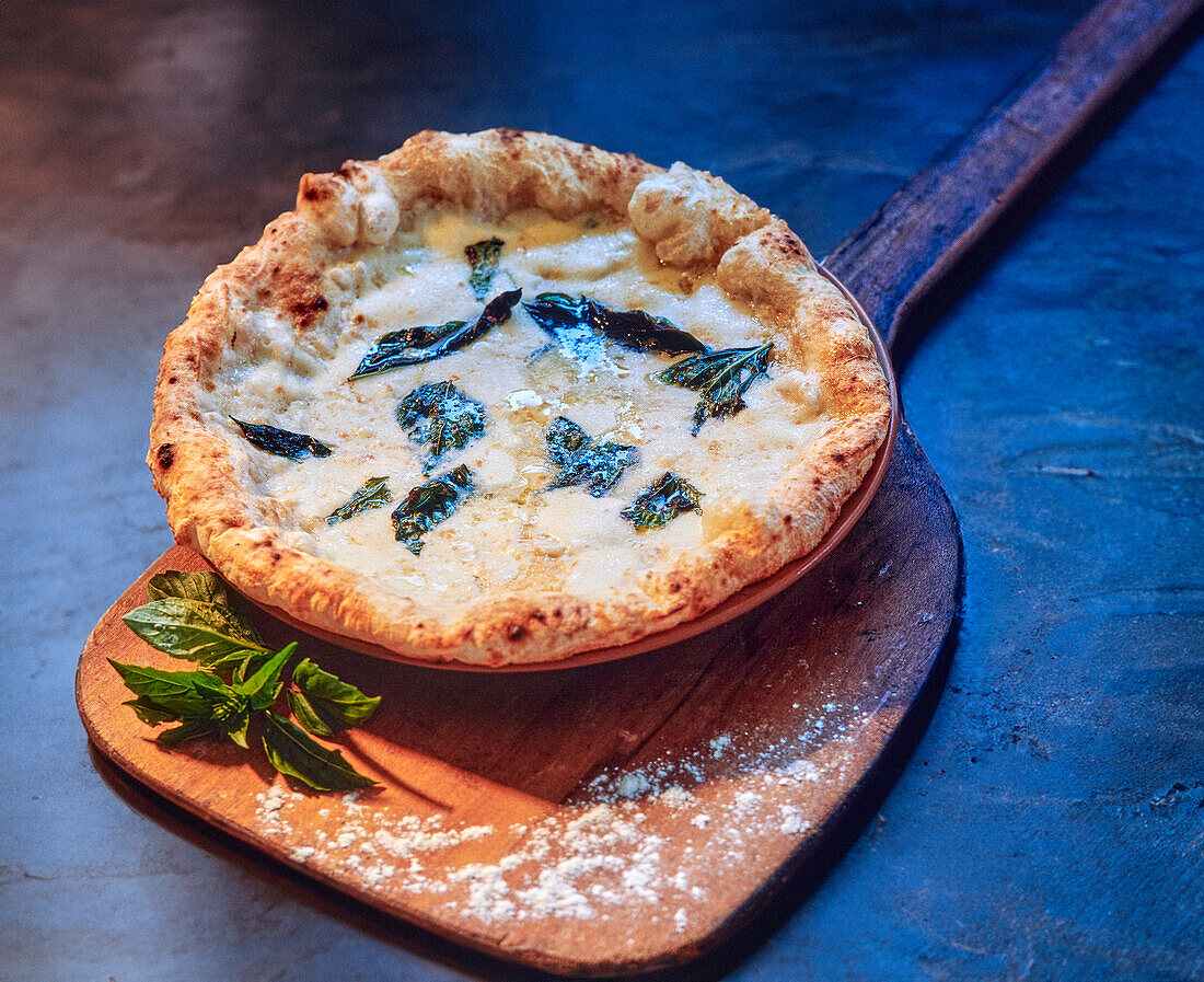 Pizza Bianca with buffalo mozzarella and basil