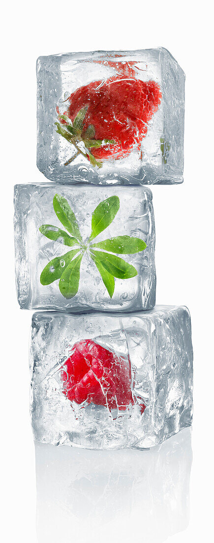 Ice cubes with enclosed berries and woodruff