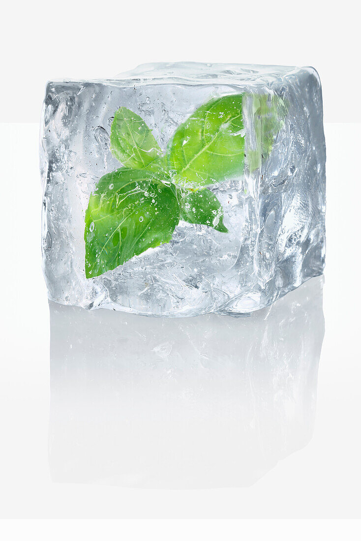 Ice cubes with enclosed basil