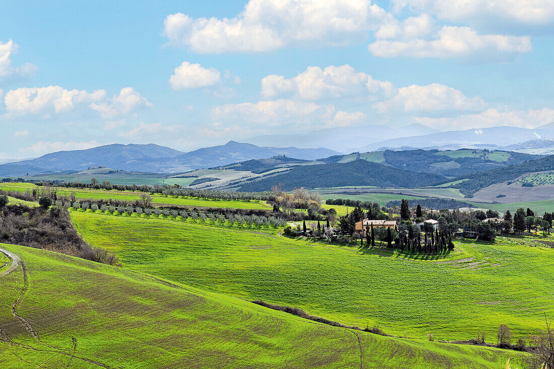 Landschaft in der Toskana