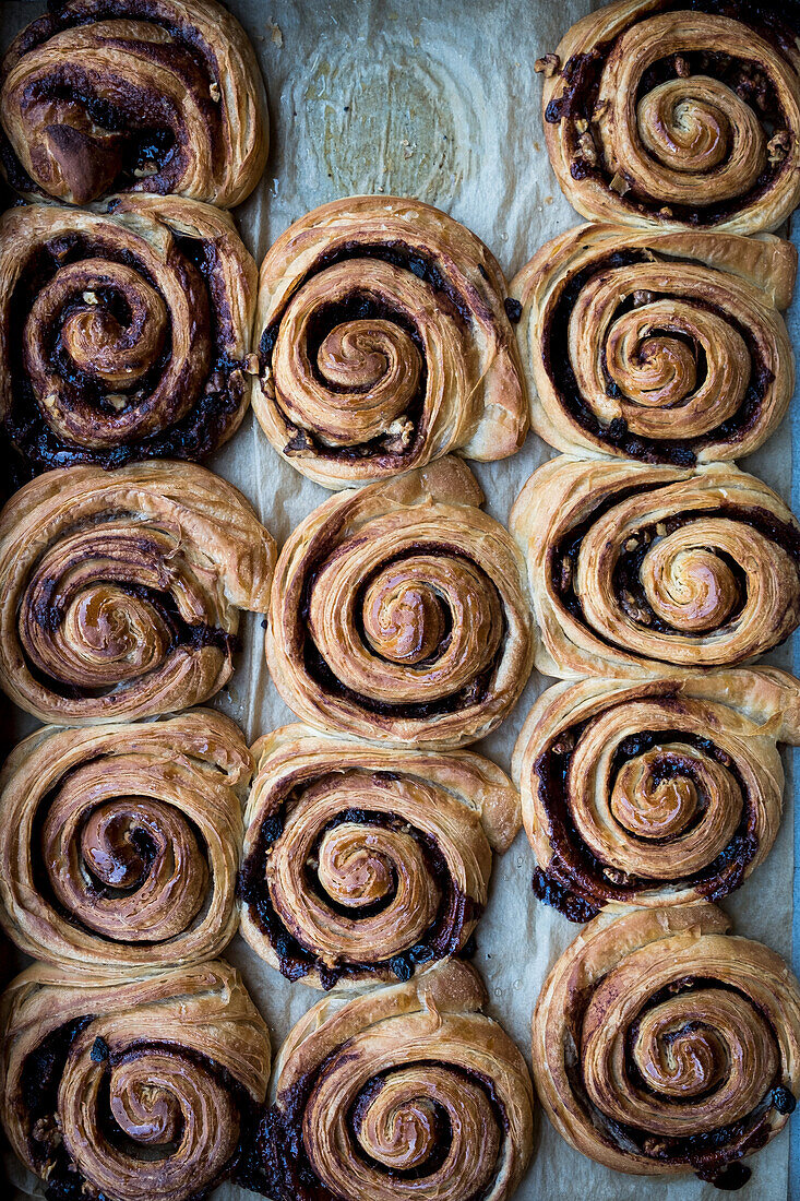 Blueberry snails