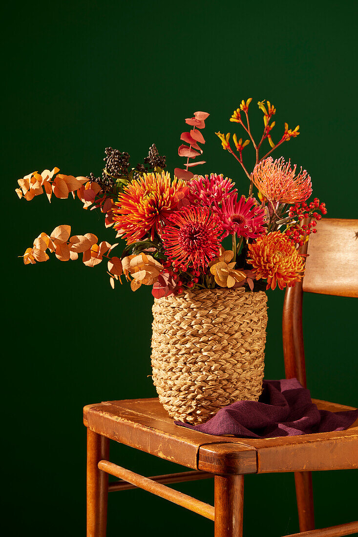 Herbstblumenstrauß in geflochtenem Korb auf Holzstuhl vor grüner Wand mit Chrysanthemen (Chrysanthemum)