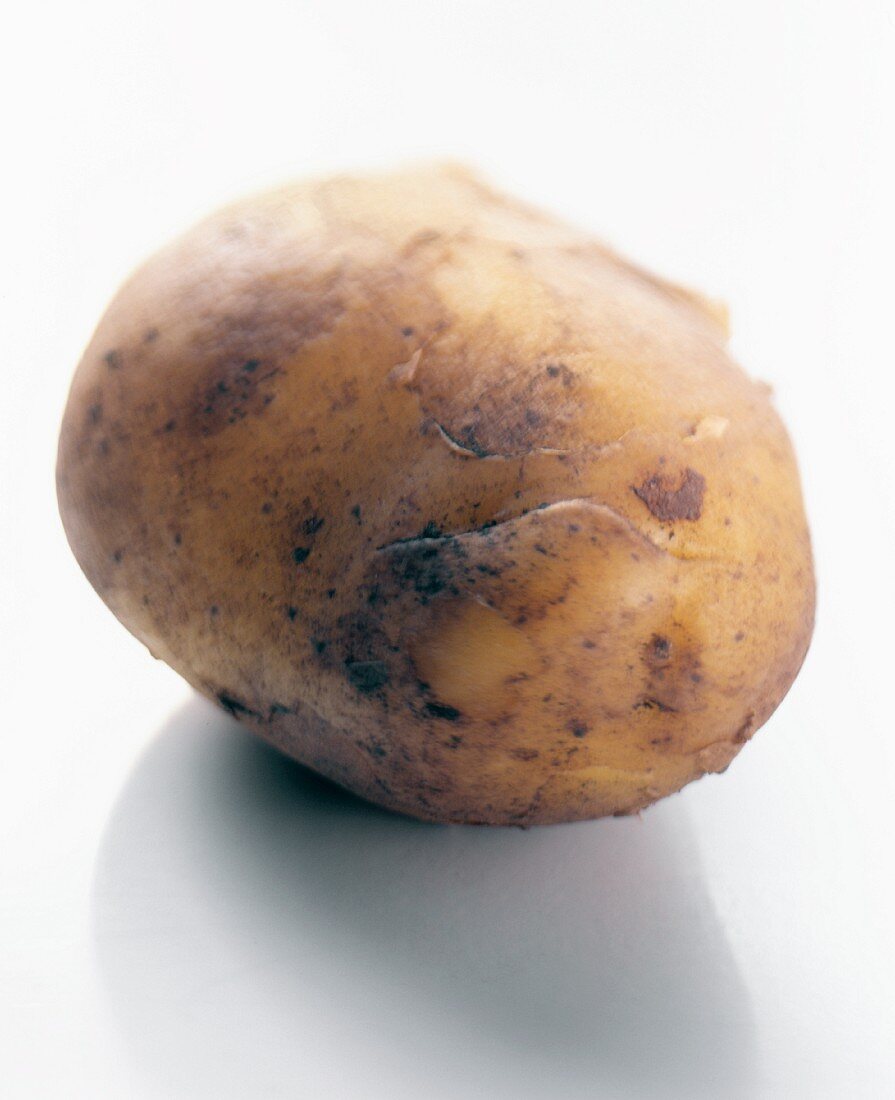 Potato, variety: Italian Sieglinde