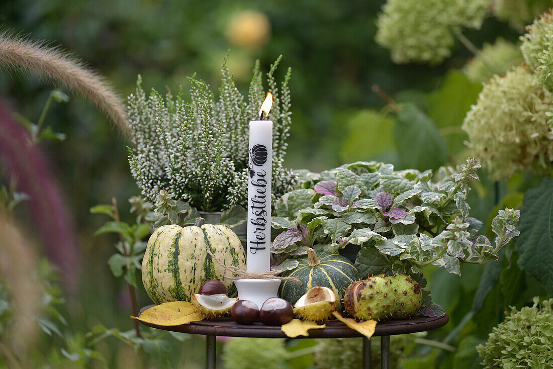 Herbstlich dekorierter Tisch mit Kastanien, Zierkürbissen, Heidekraut und einer Kerze