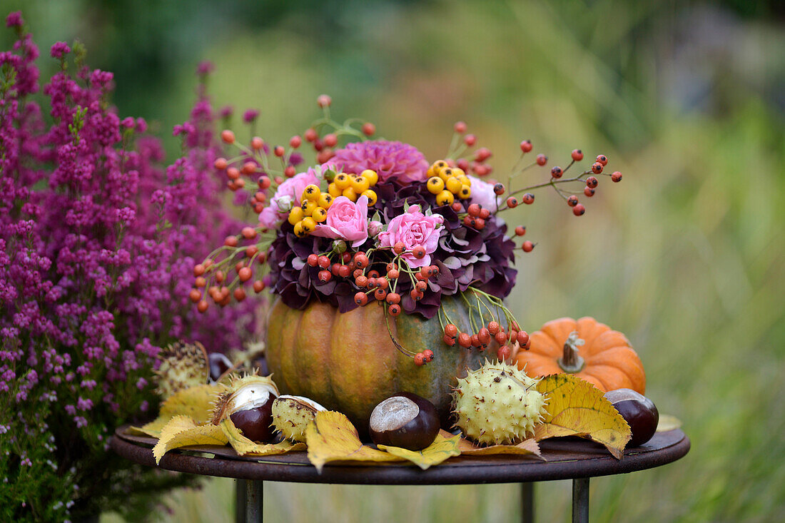 Kürbis-Vase mit Hortensien, Rosen, Beeren, Hagebutten und Dahlien im Herbstgarten