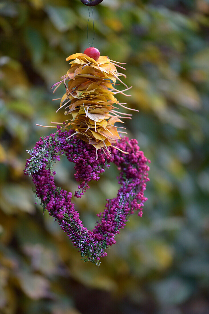 Heideherz mit aufgereihten Herbstblättern vor unscharfem Hintergrund, (Erica)