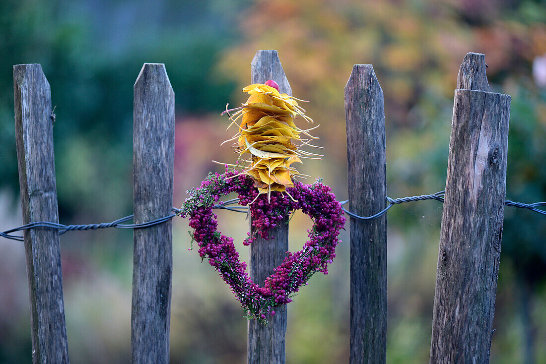 Heather heart with leaves lined up on a wooden fence, autumn decoration