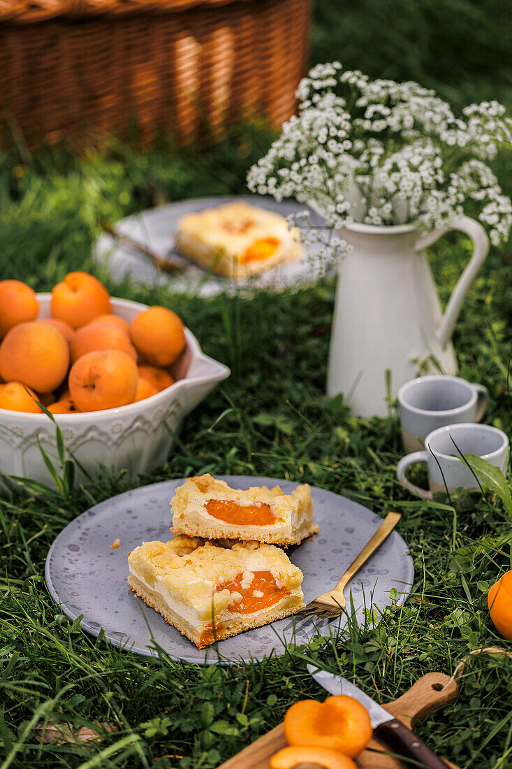 Marillen-Topfenkuchen mit Streuseln