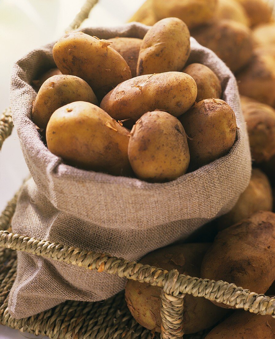 Kartoffeln im Sack, Sorte: italienische Sieglinde