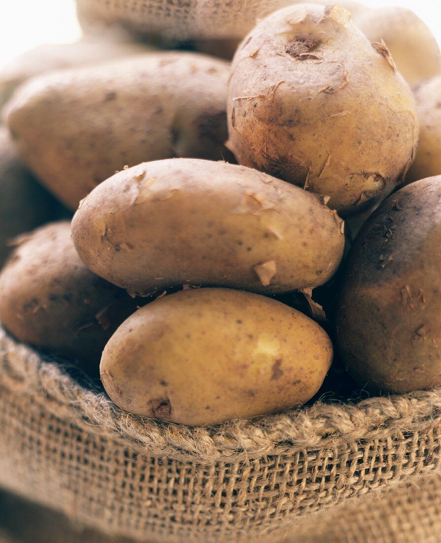 Potatoes in sack, variety: Italian Sieglinde