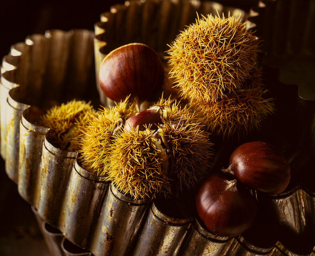 Chestnuts in prickly shell and without