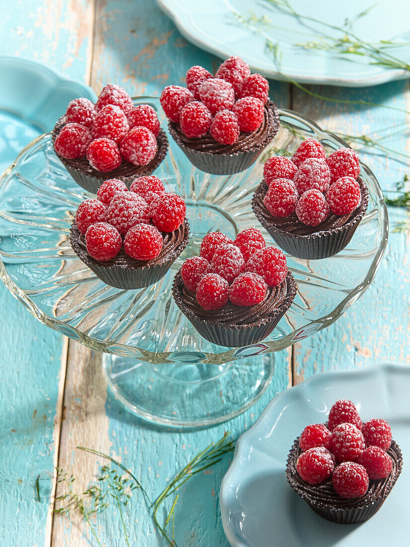 Chocolate mini tartelettes with fresh raspberries