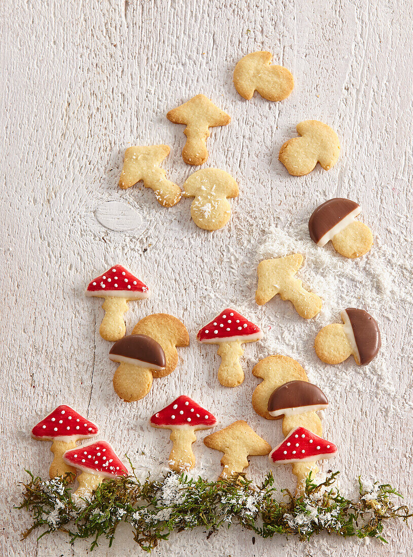 Coconut mushroom cookies with icing and chocolate