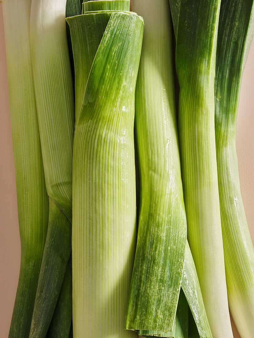 Leek in detail