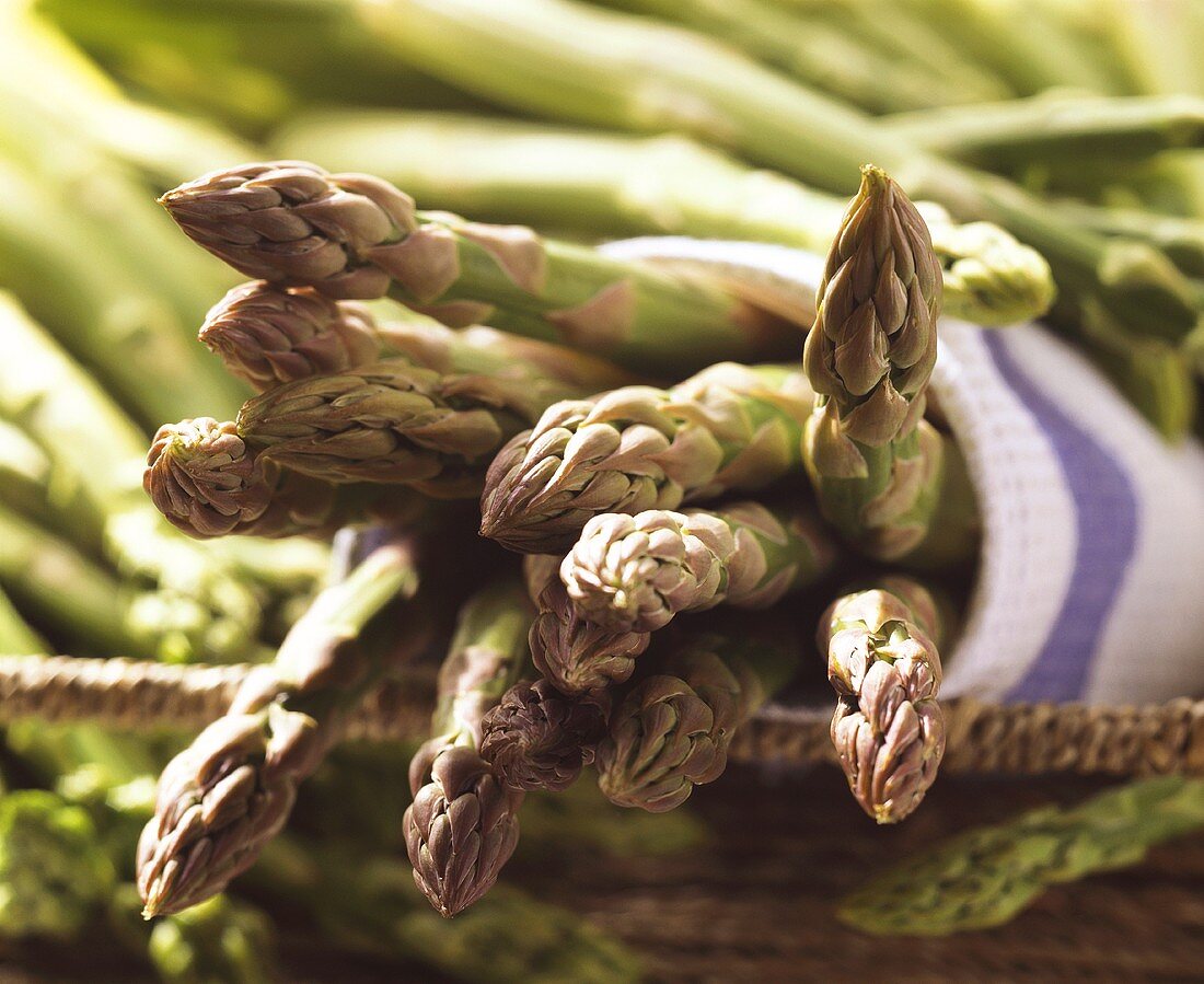 Grüner Spargel mit grün-violetten Spitzen